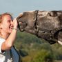 Photo of Equisano