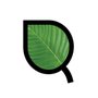 Pure Lifted Kratom