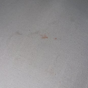 Casiola Orlando - Blood on sheets - Resorts Near Me - Orlando, Florida Casiola Orlando - Blood on sheets - Resorts Near Me - Orlando, Florida