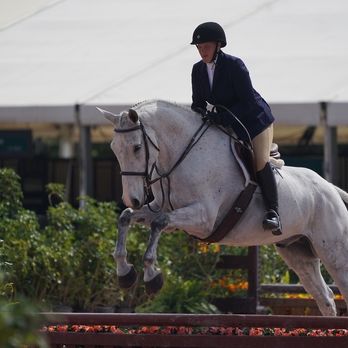 AURUM Performance Stables - Wellington WEF - Horseback Riding Near Me - Miami, Florida AURUM Performance Stables - Wellington WEF - Horseback Riding Near Me - Miami, Florida