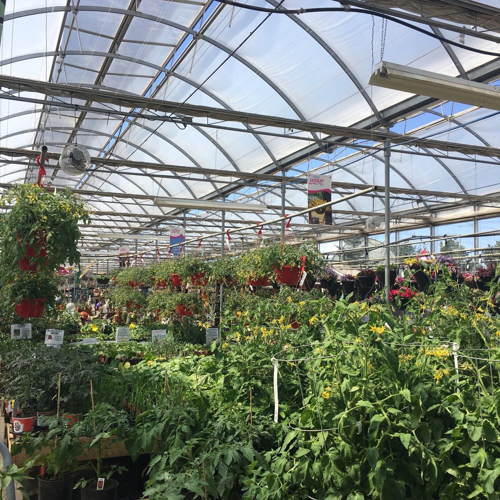 The Big Greenhouse - Nurseries & Gardening Near Me - Spruce Grove, Alberta The Big Greenhouse - Nurseries & Gardening Near Me - Spruce Grove, Alberta