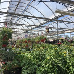 The Big Greenhouse