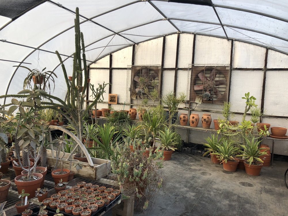 HARVEY FLORAL Updated October 2024 611 Nile Kinnick Dr S, Adel