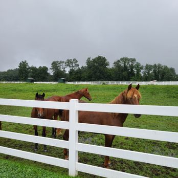 Horsebarn Hill - Farms Near Me - Mansfield, Connecticut Horsebarn Hill - Farms Near Me - Mansfield, Connecticut