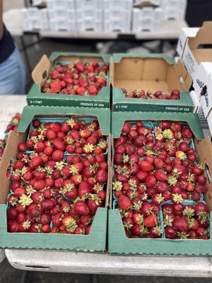Issaquah Farmers Market by null