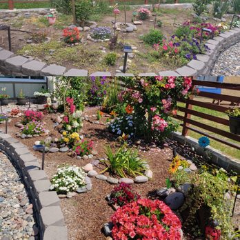 Yard Techs - Before and after of my front yard - Landscaping Near Me Yard Techs - Before and after of my front yard - Landscaping Near Me