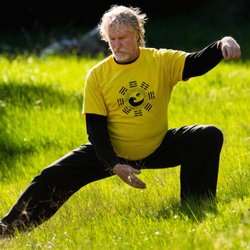 Pacific Light and Power : Internal Martial Arts - Practicing "Snake Creeps Down" tai chi chuan movement