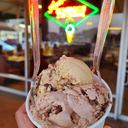 Hans' Homemade Ice Cream - Single scoop of half Nutella Crunch & half Mocha Almond Fudge