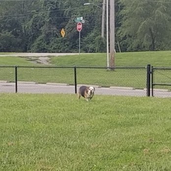 Tails and Trails - Grandview - Dog Parks Near Me - Grandview, Missouri Tails and Trails - Grandview - Dog Parks Near Me - Grandview, Missouri