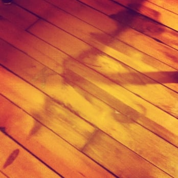 The Smyrna Opera House - a shadow of a person on a wooden floor - Music Venues Near Me - Smyrna, Delaware The Smyrna Opera House - a shadow of a person on a wooden floor - Music Venues Near Me - Smyrna, Delaware
