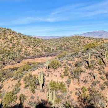Butcher Jones - Instagram: @telephonesmoothie - Parks Near Me - Fort McDowell, Arizona Butcher Jones - Instagram: @telephonesmoothie - Parks Near Me - Fort McDowell, Arizona