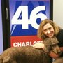 Photo of Ashi Animal Acupuncture And Rehabilitative Medicine