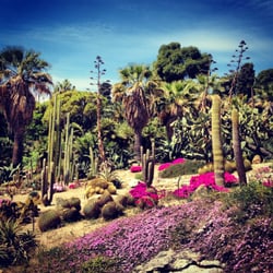 Orto Botanico