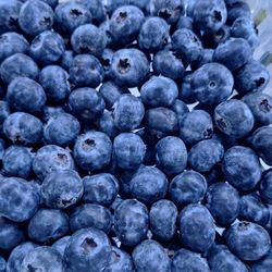 Blueberries from the produce section