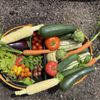 Gardener's Supply Company gift card