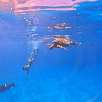Captain Max Boat Tours - Boat Tours Near Me - Honolulu, Hawaii