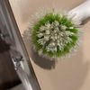 Belknap Hot Springs gift card