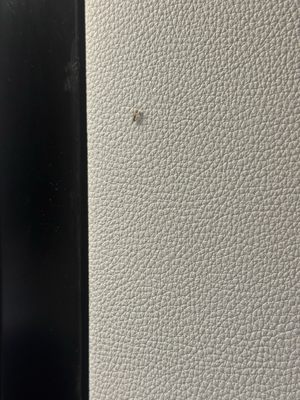 Heights House Hotel, Ascend Hotel Collection by null