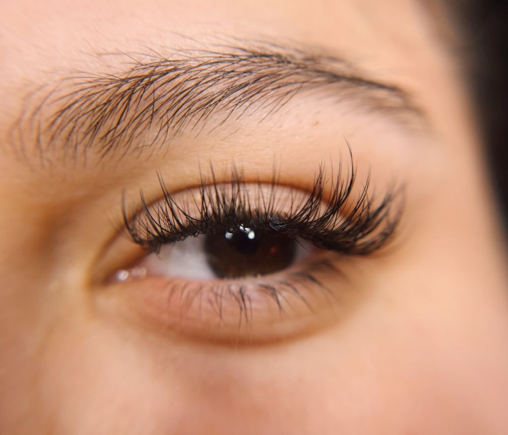 Lilly Lee Lashes Logo