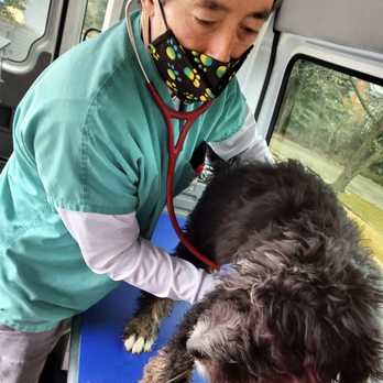 Vet In A Box - Veterinarians Near Me - Reston, Virginia Vet In A Box - Veterinarians Near Me - Reston, Virginia