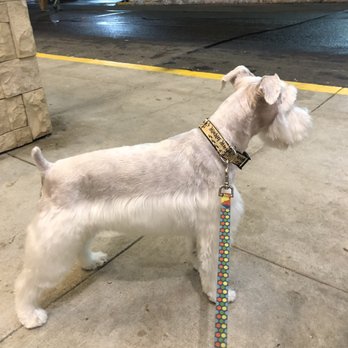 Petco - Pet Stores Near Me - Burke, Virginia