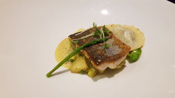 Schmidt's Restaurant & Catering by null