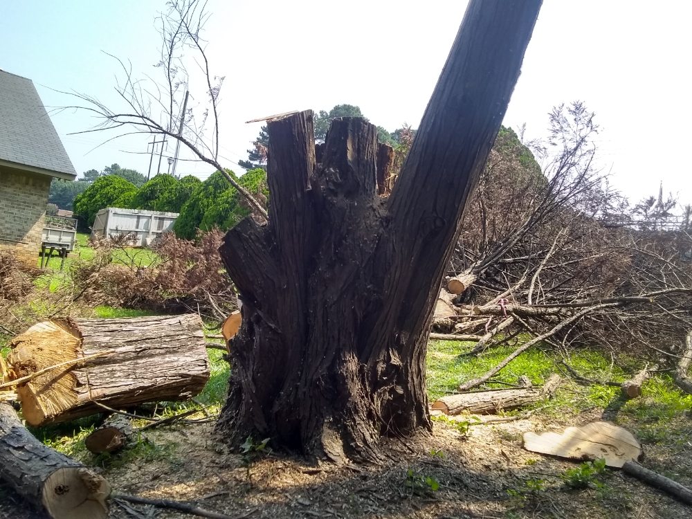 Slide of MV Roofing And Tree Services