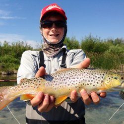 Sun Valley Outfitters - What a great brown trout!