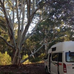 Mambray Creek Campground - Camp #19