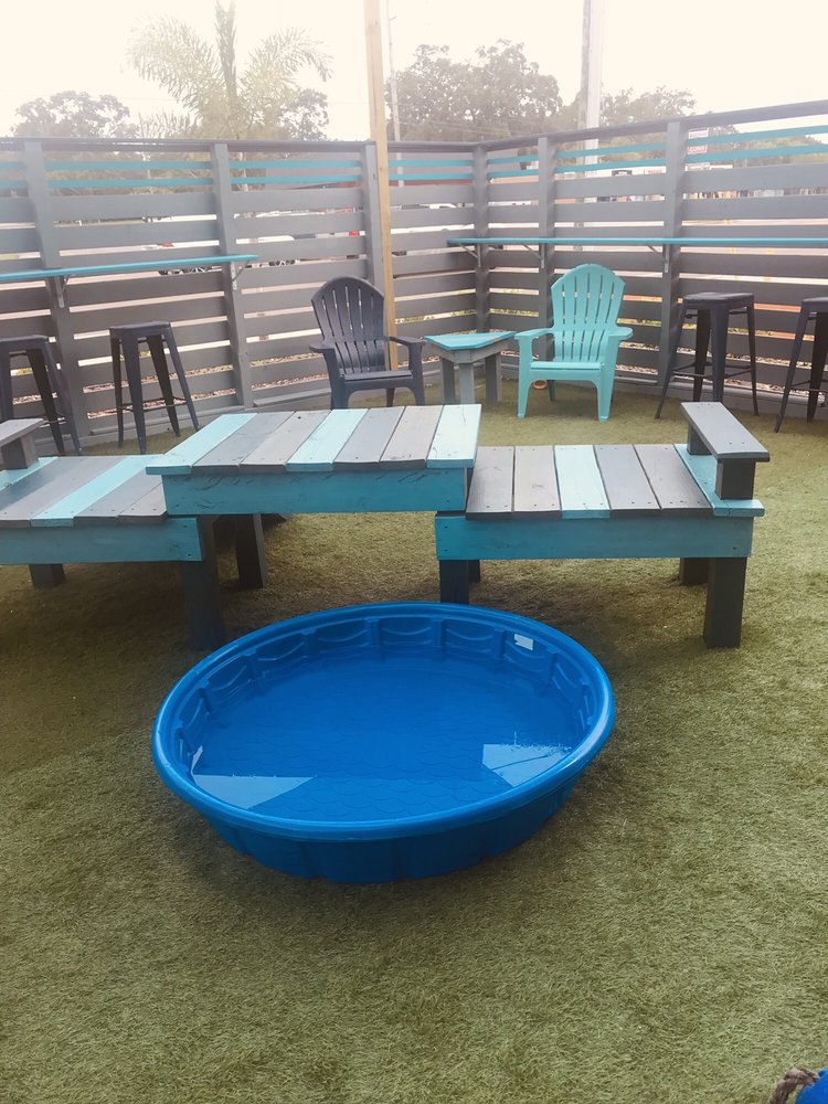 Dog Pub Social Dunedin Roadtrippers - O 