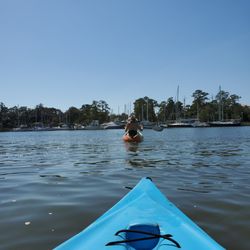 South by Southeast Tours - Great weather for being on the water