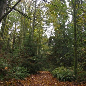 Schmitz Preserve Park - Parks Near Me - Seattle, Washington