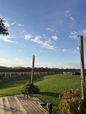 The Wine Stand at Wölffer Estate by null