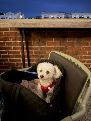 The Lost Square by null