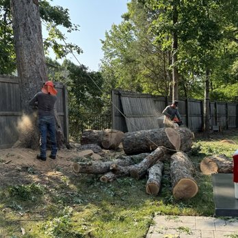 RC Tree Services - Tree service - Tree Services Near Me RC Tree Services - Tree service - Tree Services Near Me