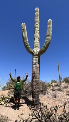 Tucson Mountain District by null