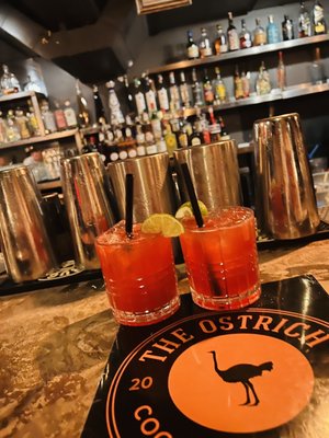 The Ostrich by null