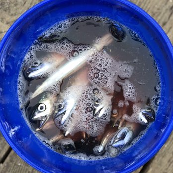 Oceanside Pier - Plenty of Fish! - Venues & Event Spaces Near Me - Oceanside, California Oceanside Pier - Plenty of Fish! - Venues & Event Spaces Near Me - Oceanside, California