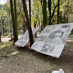 Parque da Luz - Resident cat