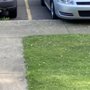 Photo of Matt’s Lawn Care