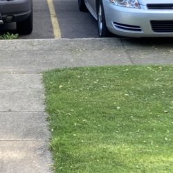 Matt’s Lawn Care - Grass all over sidewalk and cars