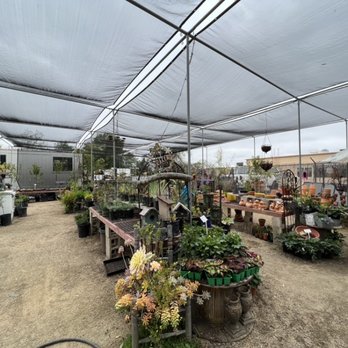Valley Center Nursery - Nurseries & Gardening Near Me - Valley Center, California