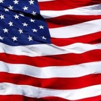 Bob's Original Pizza - the american flag - Pizza Near Me - Flint, Michigan