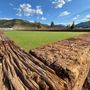 Photo of Wasatch Turf Pros
