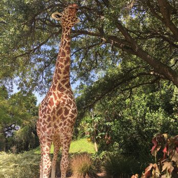 LEGOLAND - Amusement Parks Near Me - Winter Haven, Florida