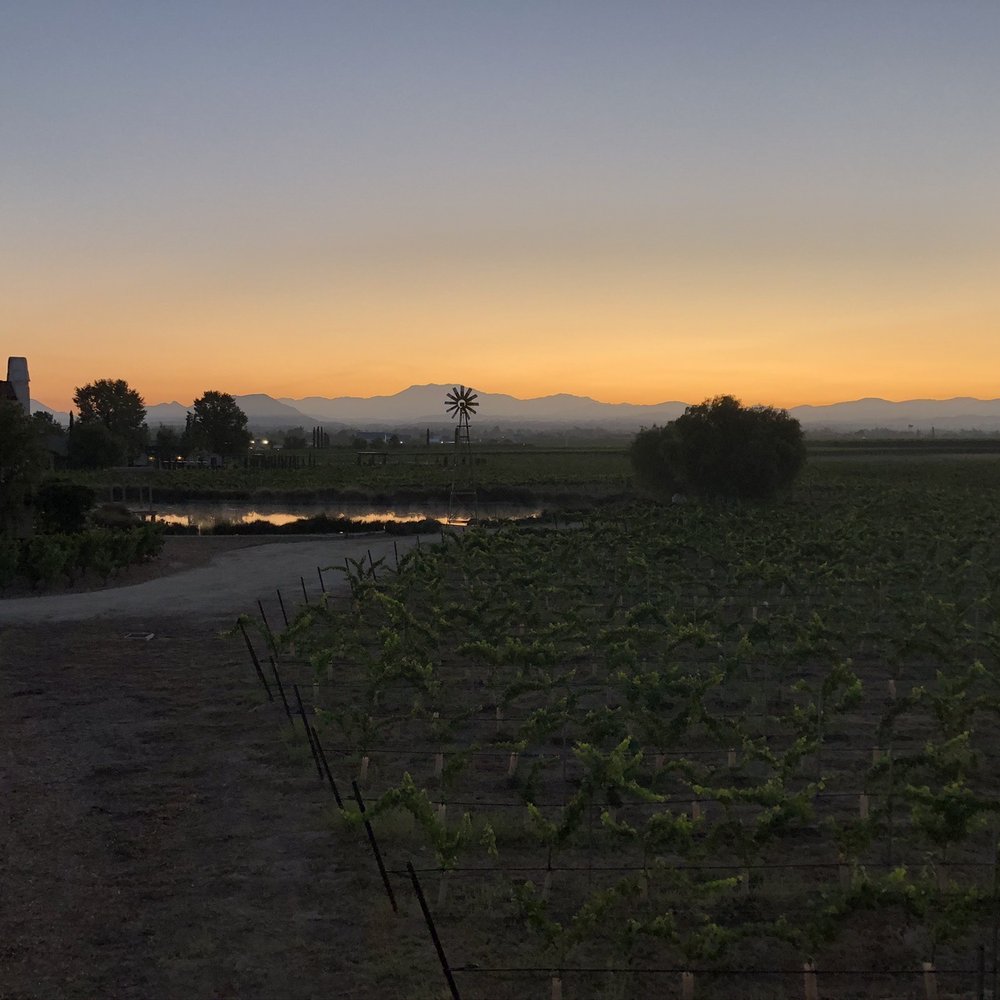 Ponte Vineyard Inn - Morning sunrise from our patio - Hotels Near Me - Temecula, California Ponte Vineyard Inn - Morning sunrise from our patio - Hotels Near Me - Temecula, California