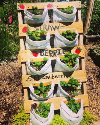 Virginia Beach Farmers Market by null
