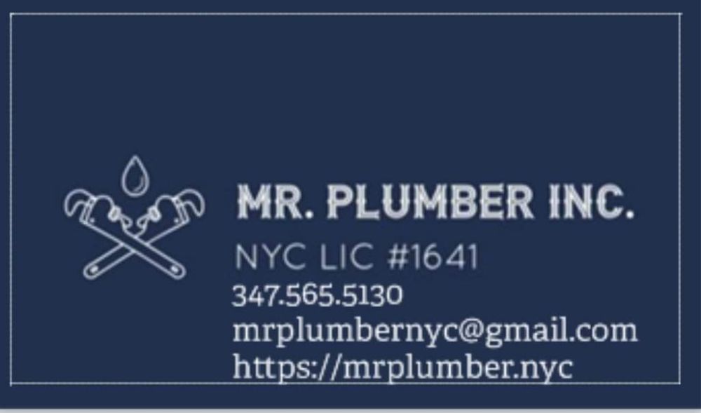 Slide of Mr Plumber