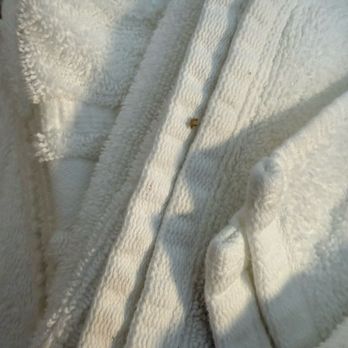 Brookdale Lodge - Dirty towels - Hotels Near Me - Brookdale, California Brookdale Lodge - Dirty towels - Hotels Near Me - Brookdale, California