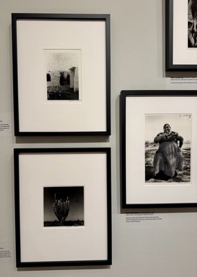 Mint Museum Randolph by null